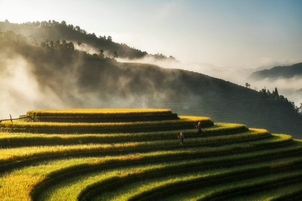 a green grass field near a body of water during the day